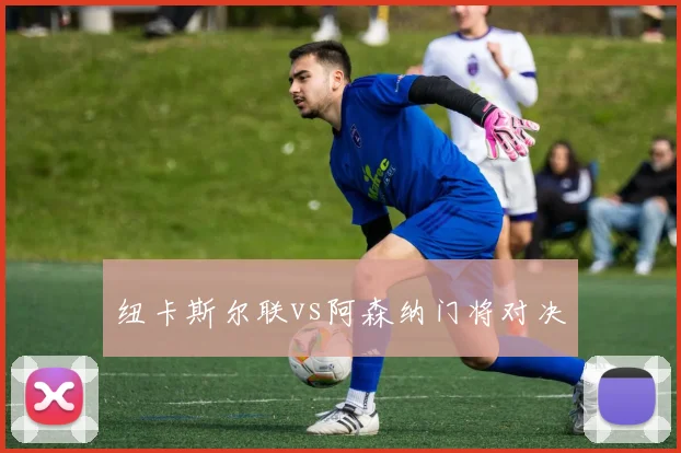 纽卡斯尔联vs阿森纳门将对决