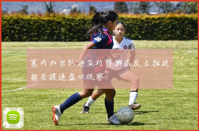 塞内加尔队迪亚对阵挪威反击推进能否提速盘口观察