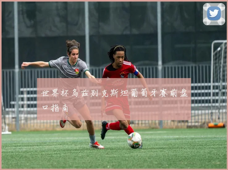世界杯乌兹别克斯坦葡萄牙赛前盘口指南