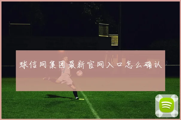 球信网集团最新官网入口怎么确认