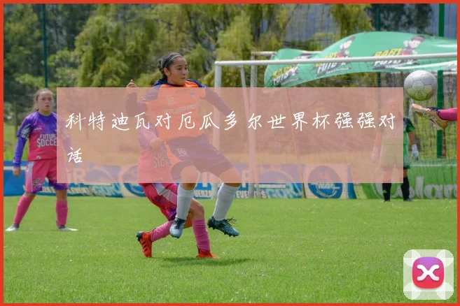 科特迪瓦对厄瓜多尔世界杯强强对话