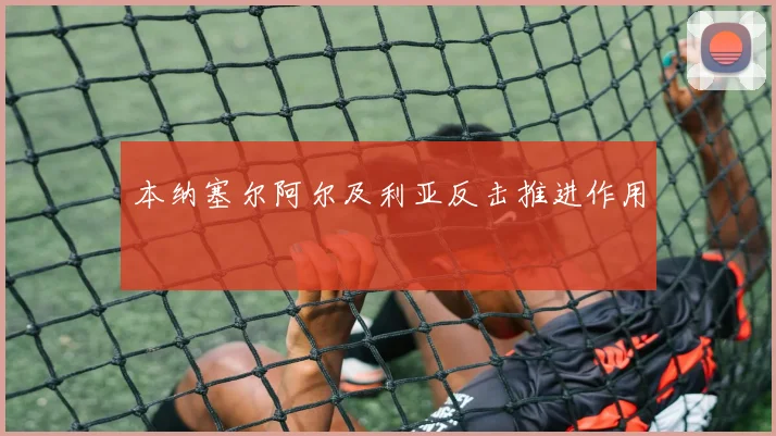 本纳塞尔阿尔及利亚反击推进作用