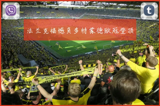 法兰克福憾负多特蒙德欧冠登顶