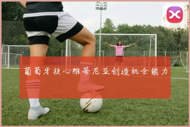 葡萄牙核心维蒂尼亚创造机会能力