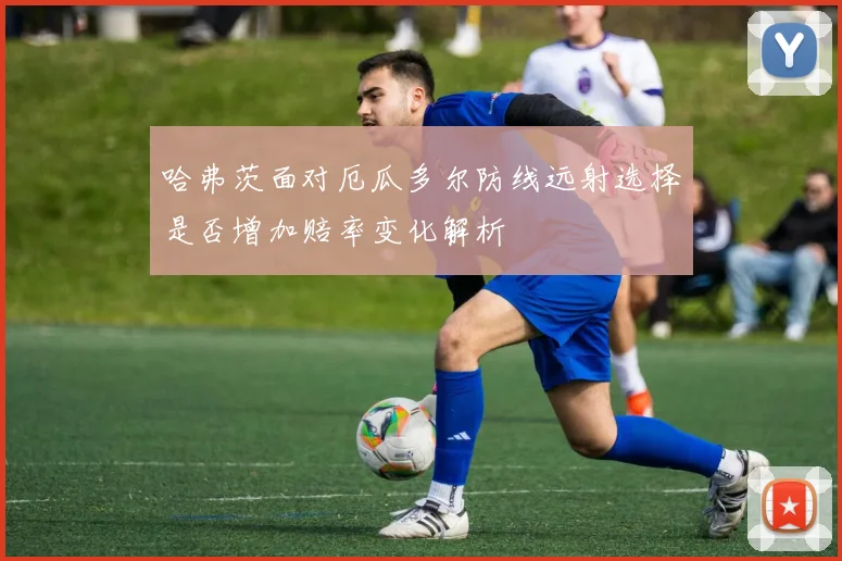 哈弗茨面对厄瓜多尔防线远射选择是否增加赔率变化解析