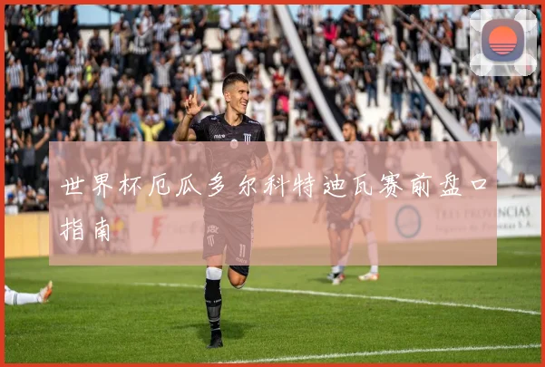 世界杯厄瓜多尔科特迪瓦赛前盘口指南