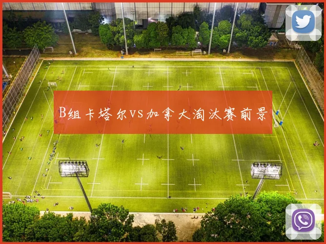 B组卡塔尔vs加拿大淘汰赛前景